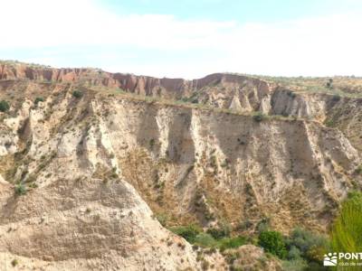 Cárcavas del Pontón de la Oliva y Patones | Badlands de Guadalajara; sendero norte rutas navarra sen